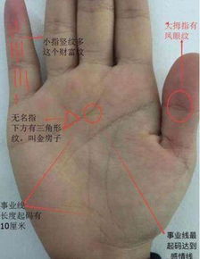 1. 自身为贵：独立人格的体现