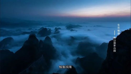 神秘声音的造访