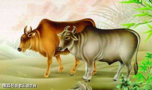 4. 牛：勤劳与稳重