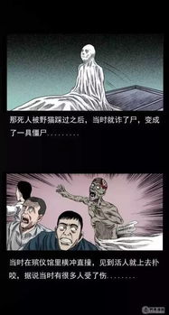 讨论：生肖星座因素在危机激化中的可能作用