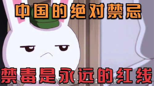 2.1 人格分裂引起的心理状态崩溃风险因素