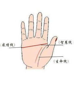 三、 婚姻关系匹配度评估