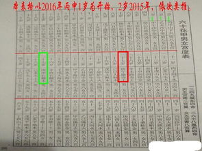 (4) 社会功能：家庭伦理巩固机制