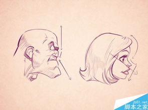 第二部分：面部特征与性格命运的深度解构