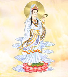 观音菩萨灵签第九签的内容是什么？