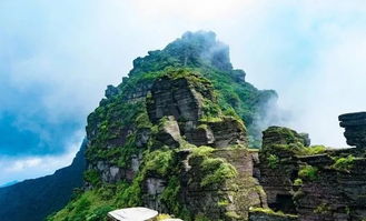 遵义四洞沟：瀑布清泉的避暑天堂