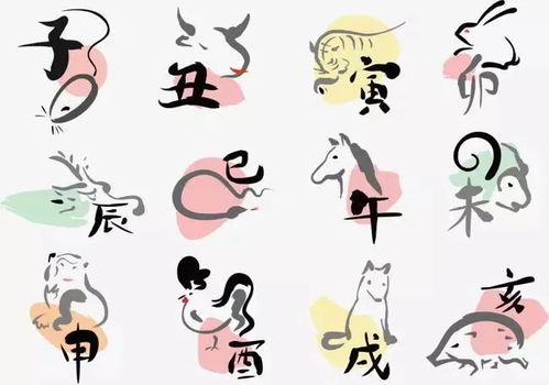 双肖有看头指的是哪些生肖，双肖是指什么意思？