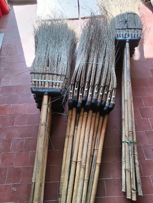 阋墙谇帚打一生肖是几，这个生肖是哪个？