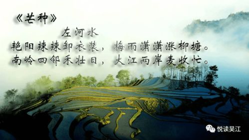 三、艺术创作表达技法探究：語言質朴意境较深遠之秘訣
