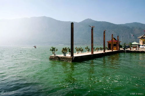 滇池畔的海埂公园：不只有红嘴鸥