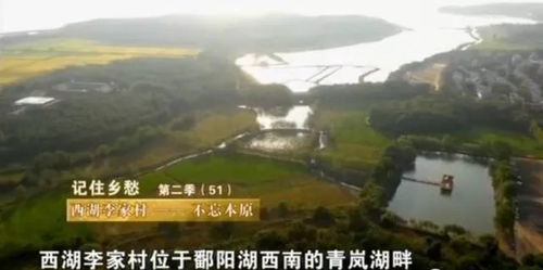 景区实况：杂草丛生还是人间仙境？