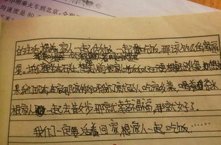 蕾字解析
