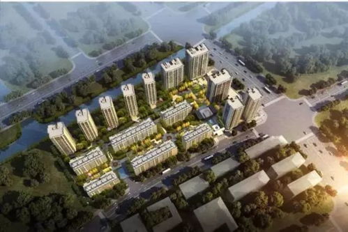 （三）生肖羊与四楼居住的潜在风险