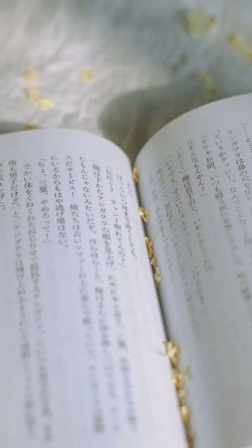 名字与命运的纠缠