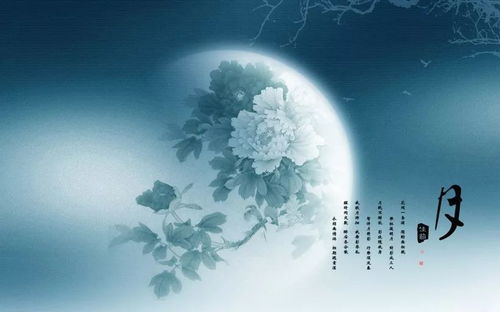 月圆之夜，中秋佳节，古宅内月影斑驳，幽魂夜哭，这是为何？