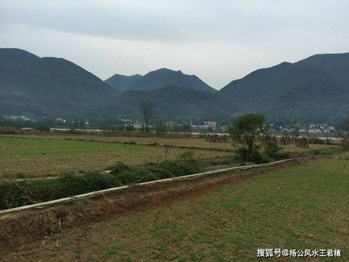 案例分析：王君植大师2020年北京寻龙实录