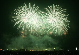 火树银花对应哪个生肖？这生肖尾巴特长吗？