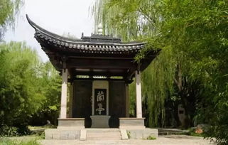 噪音段落：为什么有人会把名字当作命运的钥匙？