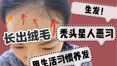 2.1 历法转换与节气属性