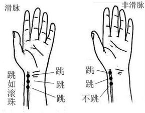 一、 子女线看左手还是右手