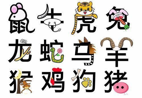 1. 属兔（兔）——内敛却简单受伤害
