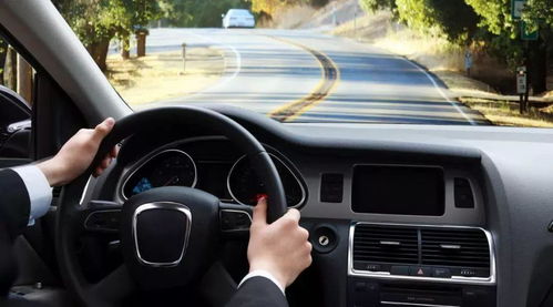 八字命理中，哪些五行相生相合的人更适合从事投资和驾驶行业？