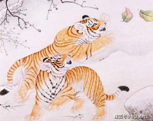 生肖狗