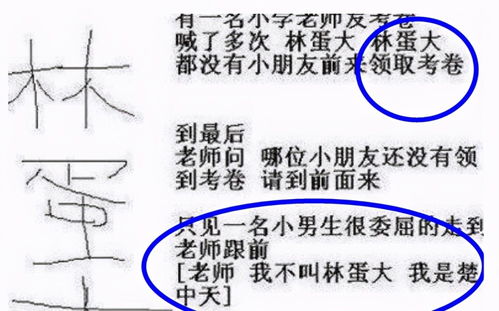 谐音梗虽然好玩单是有时候要命