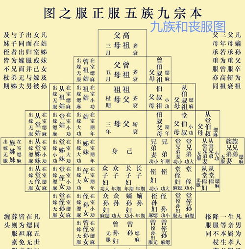 中医五音指的是什么，它们在起名五音中具体有哪些应用和意义？