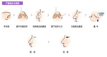 二、 技术手段流程与设备保障