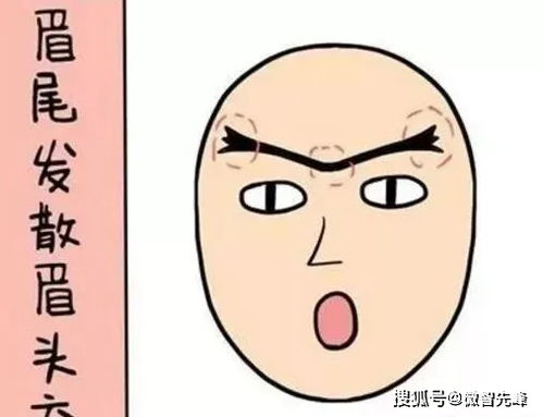 五、 眼神：智慧与策略的十分沉关键性