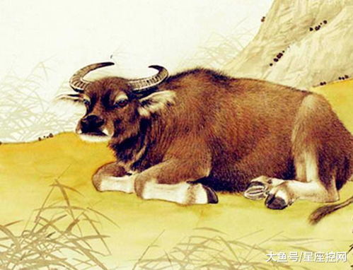 一、  生肖牛的图腾意义与性格特质在网名中的投射