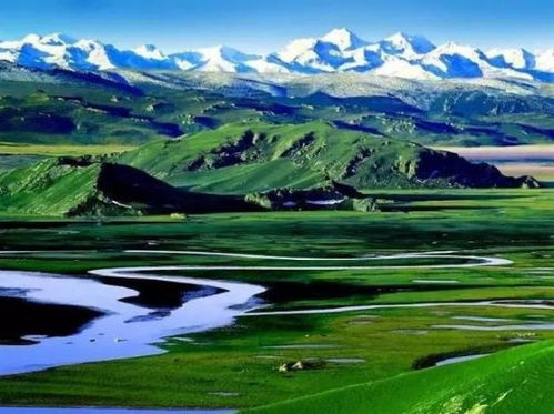 哈斯飞的“烂”版深度体验：别把期待放太高， 先准备好纸巾和胃药