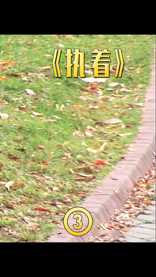 二、坟头梦境迷惑行为大赏