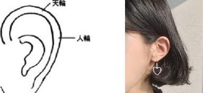 第一章：耳相形态的深层解析与运势关联