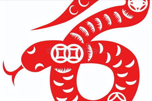 2025年是不是蛇年，这究竟意味着什么生肖轮回的转换？