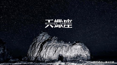 三、 天蝎座：复仇心沉重的“隐形”操控者