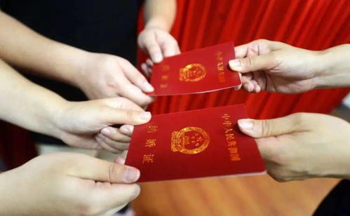 2026年属猪人领证吉日和结婚大利月是哪个月份？