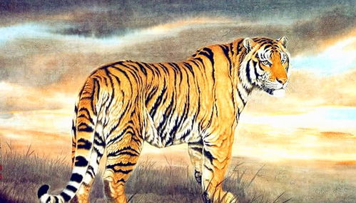 将一无所you对应成生肖，会是哪个生肖呢？