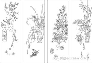 赏菊花有什么深层寓意？菊花在传统文化中代表什么象征意义？