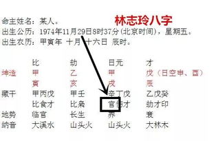 晚婚命格的潜在成因：性格与社会磨砺