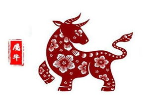 95年属猪男和97年属牛女婚姻相配吗，他们的婚姻生活会幸福吗？