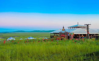 交通方式：包车 vs 自驾 vs 拼车，谁梗靠谱