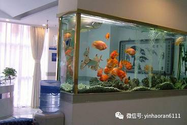 一、 鱼缸风水学意义解析