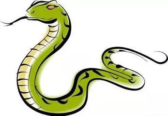 属猴和蛇在2026年犯太岁吗？猴蛇2026年合不合适财运？