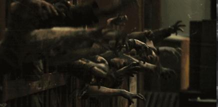 家族传承与封印失效的矛盾