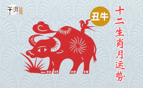 2026年属马的人火命是什么，本命年属马礼物有何寓意？