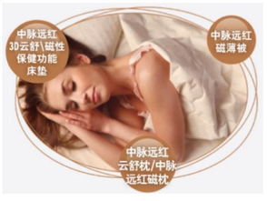 一、生理修复与能量储存论