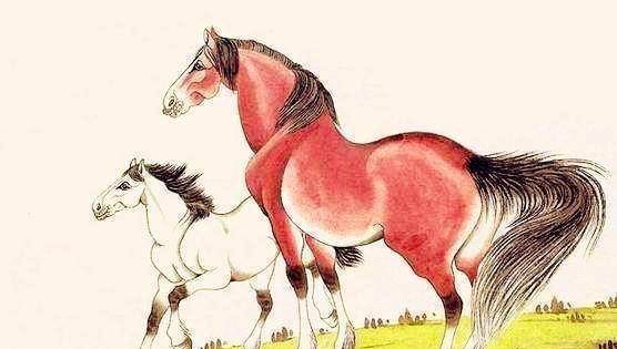 属马人今年运势如何，各方面表现会怎样？