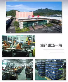 探究背景与意义